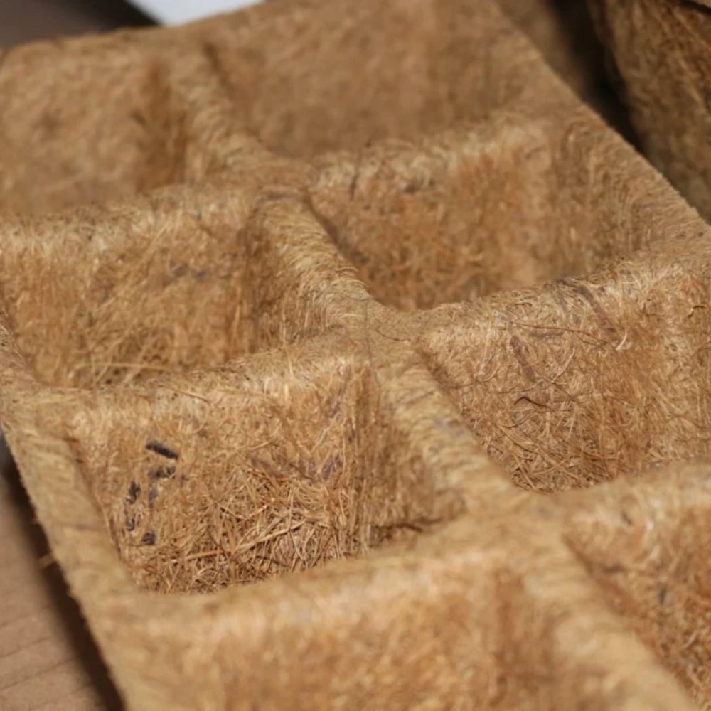 Seedling Trays